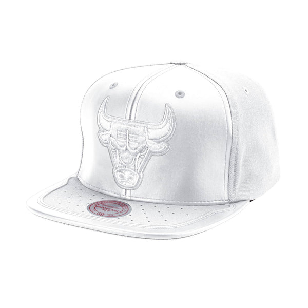 Gorra Day One Snapback Chicago Bulls