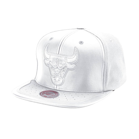 Gorra Day One Snapback Chicago Bulls