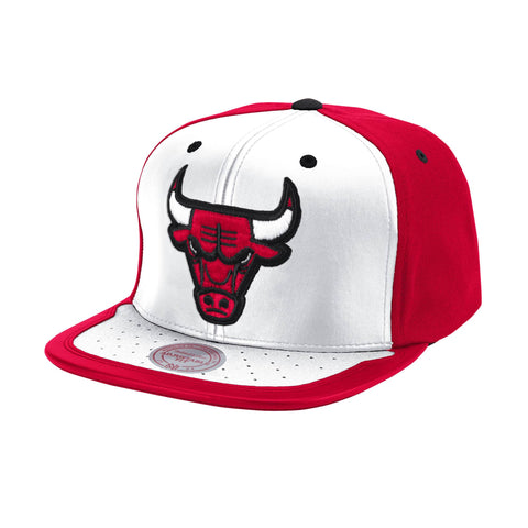 Gorra Day One Snapback Chicago Bulls