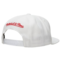 Gorra 91 Bulls Champs Snapback HWC Chicago Bulls