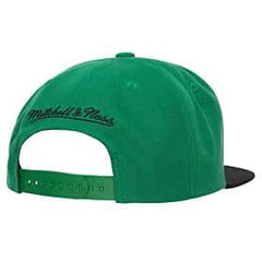 Gorra Team 2 Tone 2.0 Snapback Boston Celtics