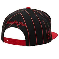 GORRA MITCHELL & NESS CHICAGO BULLS TEAM PIN