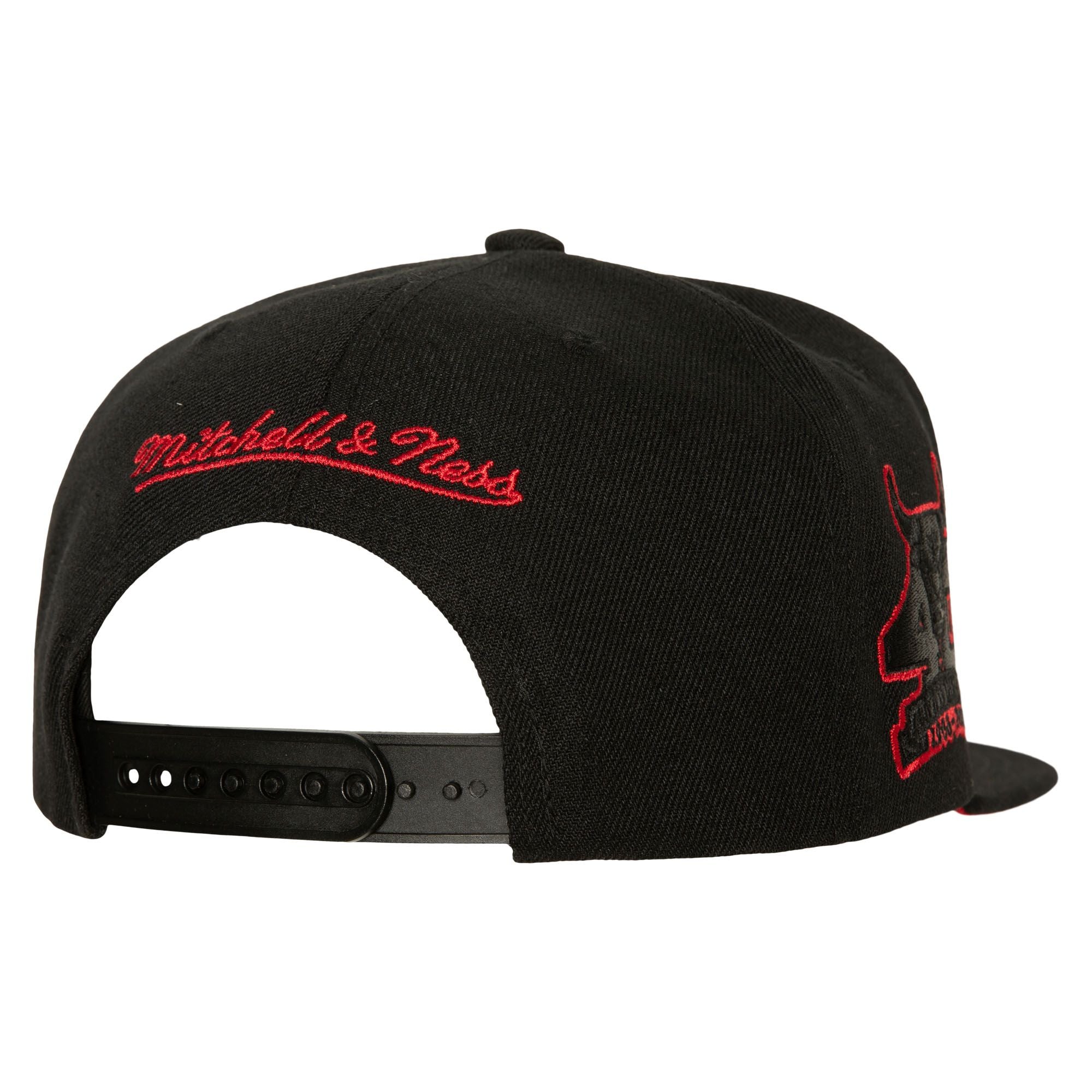 Gorra TC Bottoms Snapback Chicago Bulls