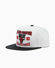 Gorra Mitchell & Ness NBA Back To 93 Chicago Bulls Unisex Snapback HWC Cap