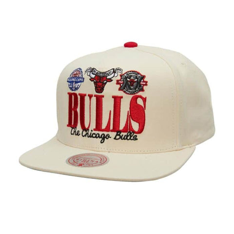 GORRA MITCHELL & NESS CHICAGO BULLS REFRAME RETRO