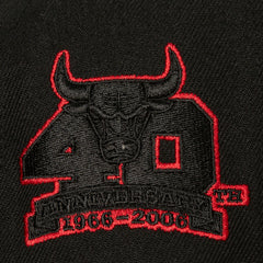 Gorra TC Bottoms Snapback Chicago Bulls